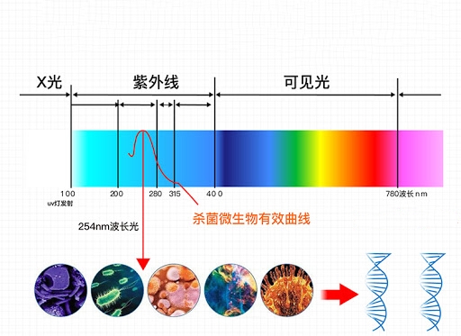 波段_.jpg