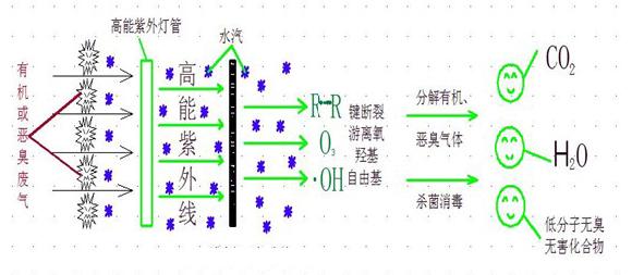 圖片5.jpg