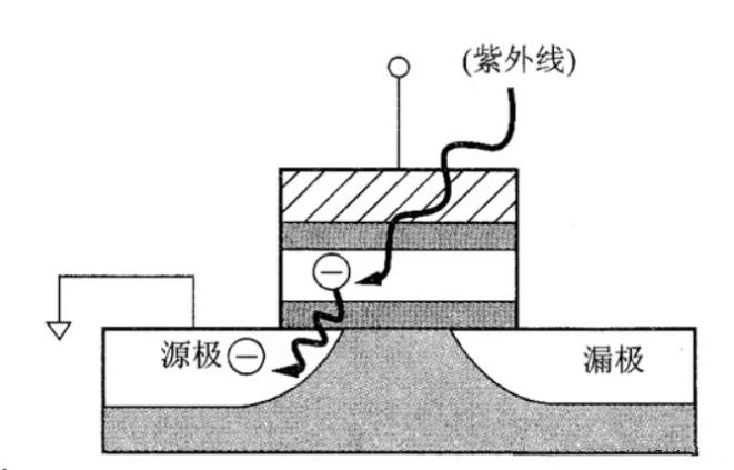 圖片2.jpg