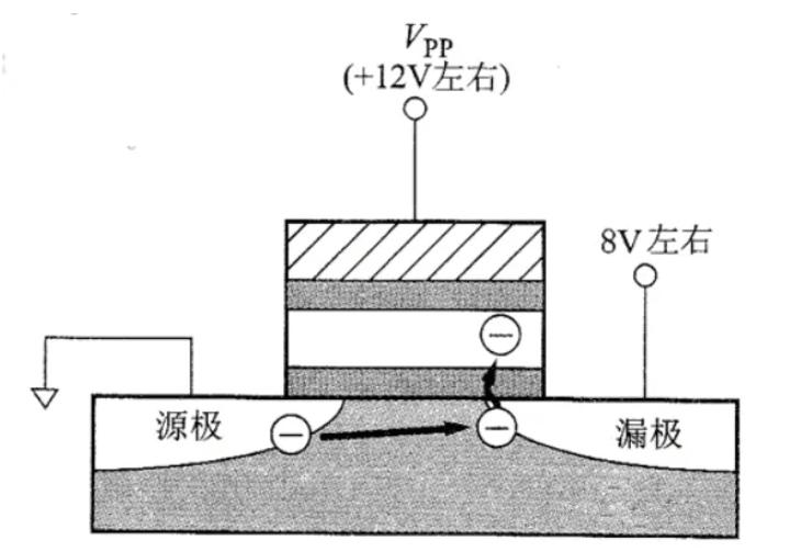 圖片1.jpg