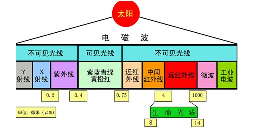 圖片1.jpg
